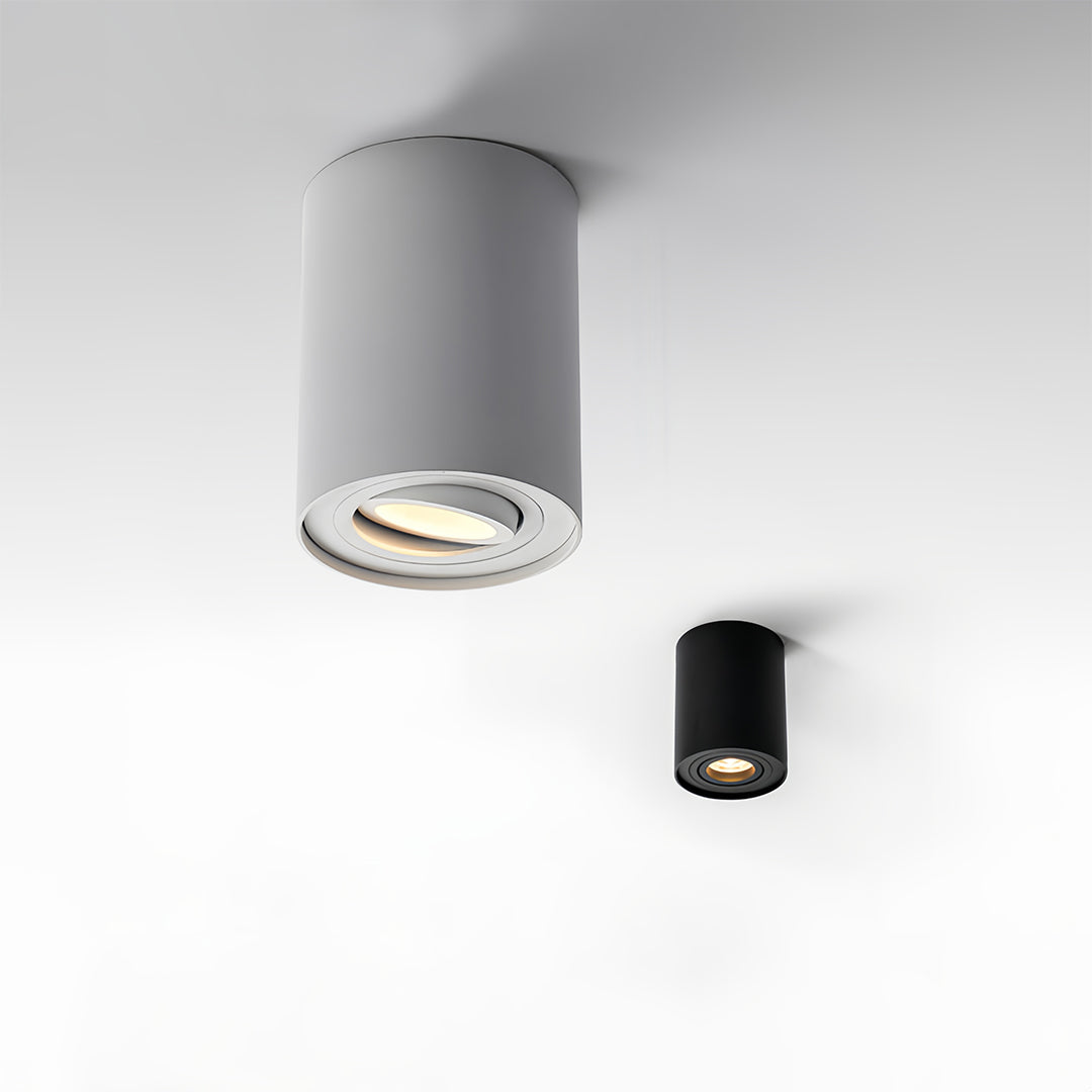 Modern Cylindrical LED Ceiling Light, Surface Mounted Downlight in Black
