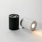 Modern Cylindrical LED Ceiling Light, Surface Mounted Downlight in Black