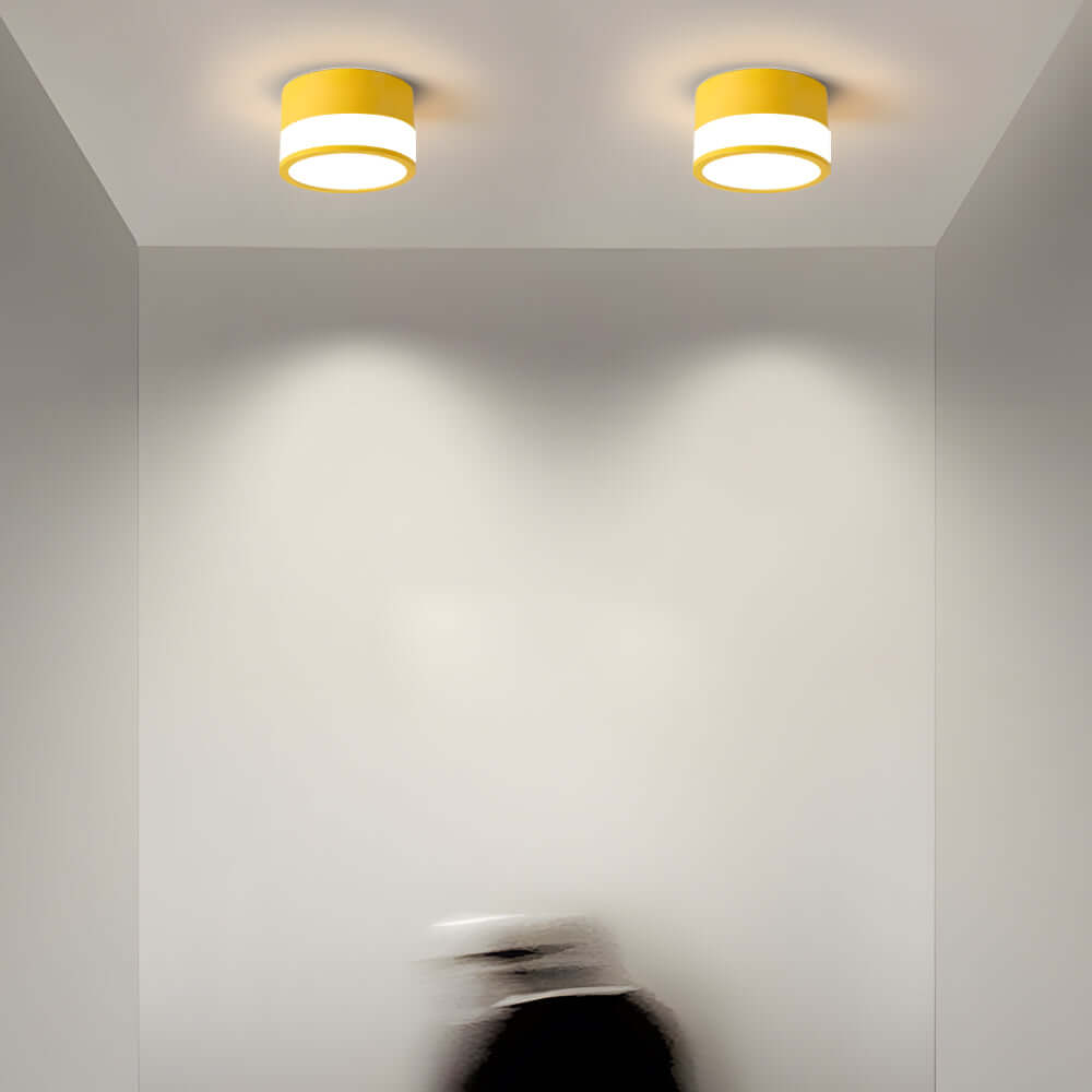 Modern Minimalist Round Flush Mount Ceiling Light with Acrylic Shade