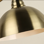 Sculptural Bronze Gooseneck Desk Lamp with Dimmable LED