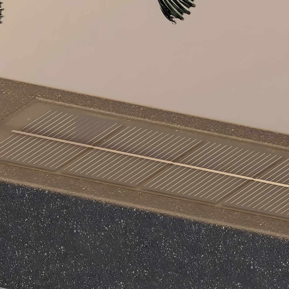 Greeting Pine Outdoor Wall Sconce in Black Stainless Steel