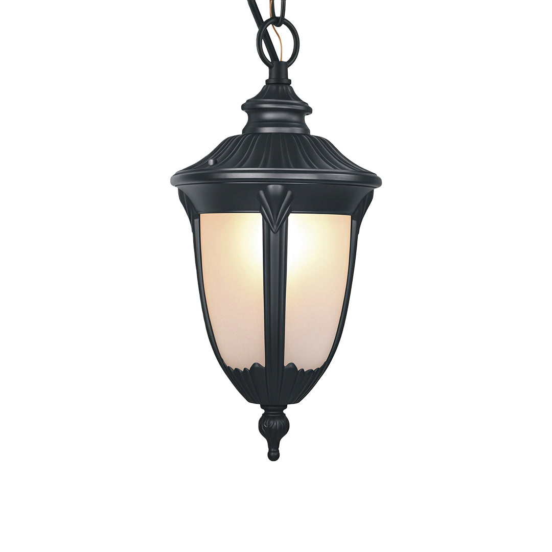 Black Aluminum Outdoor Pendant Light with Clear Glass Shade