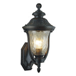 Rustic Outdoor Wall Sconce with Clear Glass Shade in Coffee Aluminum