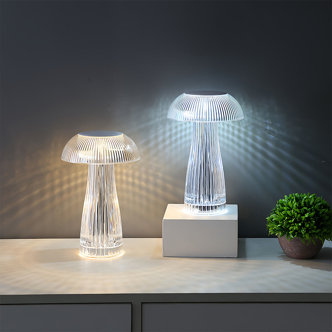 Lumina Clear Acrylic Portable Table Lamp with Touch Dimming