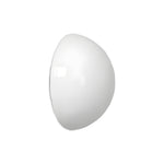 Semi-Sphere Outdoor Wall Sconce in White Metal and Clear Glass