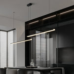Linear Double Pendant Light in Brushed Black Aluminum