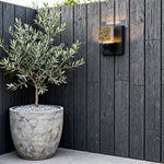 Crystal Outdoor Wall Sconce — IP65 Waterproof LED Light in Black Stainless Steel