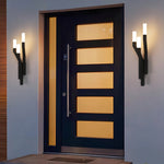 Aurelia Multi-Branch Outdoor Wall Sconce in Black Stainless Steel