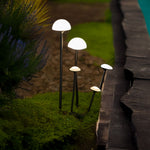 Architectural LED Landscape Path Lights, IP65 Waterproof Aluminum Garden Lighting