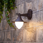 Vintage LED Outdoor Wall Sconce in Coffee Finish