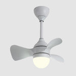 Lighting Ceiling Lights Ceiling Fans_4Rmck