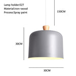 Lighting Ceiling Lights Pendant Lighting_4Fplh