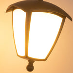 European Outdoor Landscape Lighting Fixture with Black Iron Frame