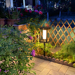 Minimalist Solar LED Landscape Path Lights with Motion Sensor