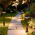 Outdoor LED Path Light with Aluminum Body and Warm White Glow