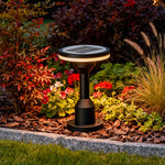 Outdoor LED Path Light with Aluminum Body and Warm White Glow