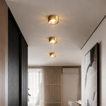 Aurelia Round LED Flush Mount Ceiling Light in Brass and Acrylic