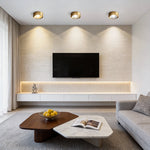 Aurelia Round LED Flush Mount Ceiling Light in Brass and Acrylic