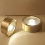 Aurelia Round LED Flush Mount Ceiling Light in Brass and Acrylic