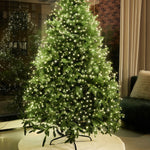 Verdant Copper Wire LED String Lights with Remote Control