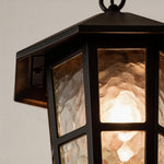 Minimalist Outdoor Pendant Light in Black Aluminum and Clear Glass