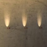 Tli00288