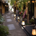 Retro LED Outdoor Lantern in Black, Waterproof Garden & Patio Light