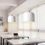 Lighting Ceiling Lights Pendant Lighting_4Fplh