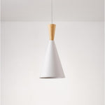 Lighting Ceiling Lights Pendant Lighting_4Ta85