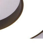 Lighting Ceiling Lights Flush Mount Lighting_4Zweg
