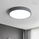 Lighting Ceiling Lights Flush Mount Lighting_49G6K