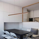 Lighting Ceiling Lights Pendant Lighting_55Lcf