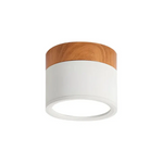 Nordic Simple Cylinder Led Ceiling Light