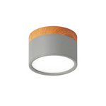 Nordic Simple Cylinder Led Ceiling Light