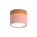 Nordic Simple Cylinder Led Ceiling Light