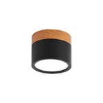 Nordic Simple Cylinder Led Ceiling Light