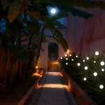 Reed Ball LED Pathway Light – Modern Landscape Lighting in Nickel