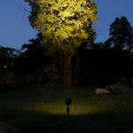 Architectural LED Spike Spotlights for Landscape and Garden Illumination
