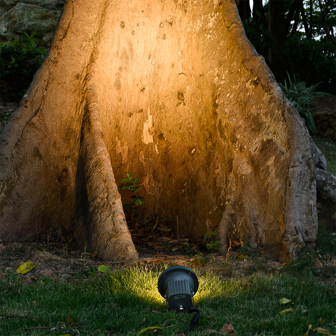 Modern Waterproof Tree Spotlights with Warm LED Glow