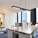 Linear LED Pendant Light in Matte Black for Modern Interiors