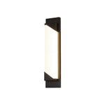 Modern Minimalist Outdoor Linear Wall Light in Sand-Black Stainless Steel