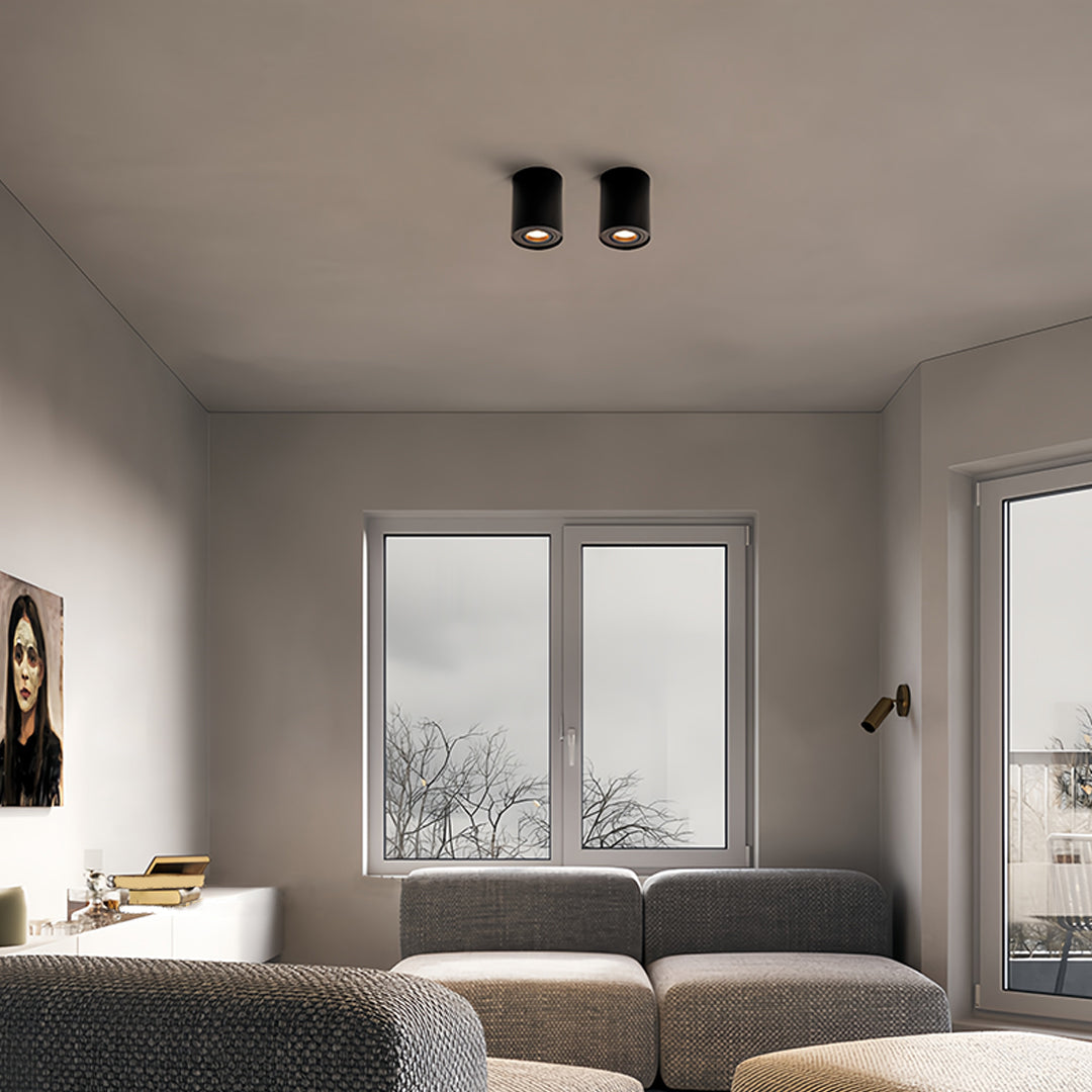 Modern Cylindrical LED Ceiling Light, Surface Mounted Downlight in Black