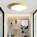 Lighting Ceiling Lights Flush Mount Lighting_49G6K