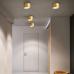 Lighting Ceiling Lights Flush Mount Lighting_54L8A