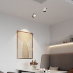 Architectural LED Recessed Spotlights with Adjustable Extendable Head