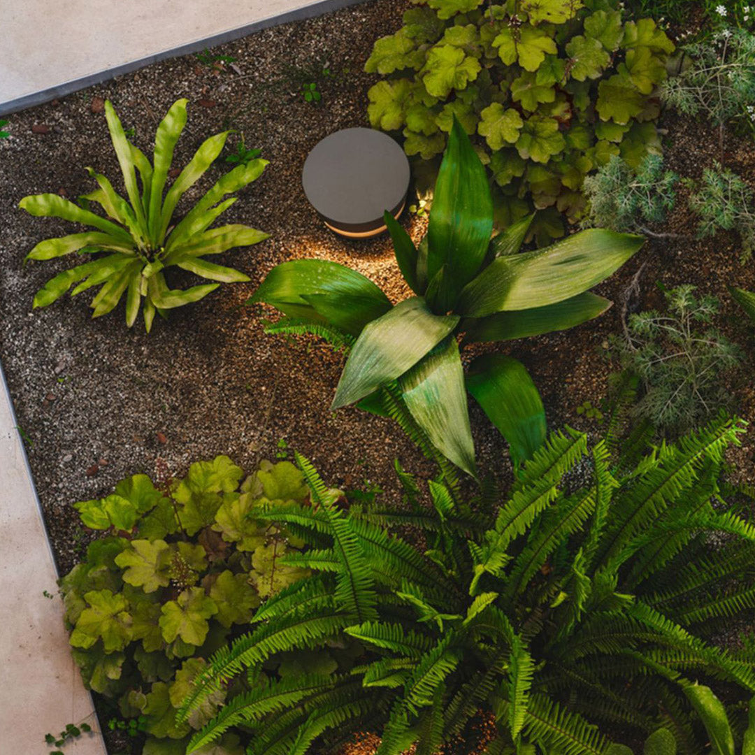 Minimalist Black Pathway Lights for Modern Landscape Design