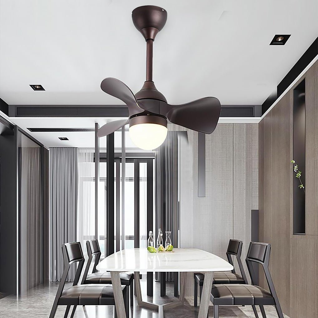 Lighting Ceiling Lights Ceiling Fans_4Rmck