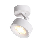 Architectural LED Ceiling Spotlights | Directional Accent Lighting