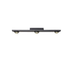 Linear LED Ceiling Spot Light in Matte Black for Modern Interiors