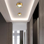 Aurelia Round LED Flush Mount Ceiling Light in Brass and Acrylic